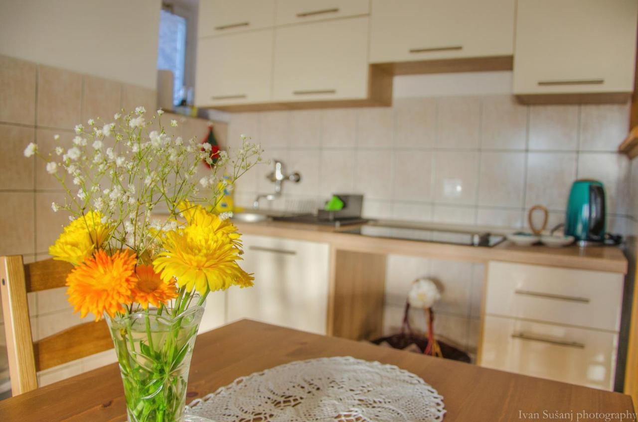 Apartment Rasce Ogulin Exterior foto
