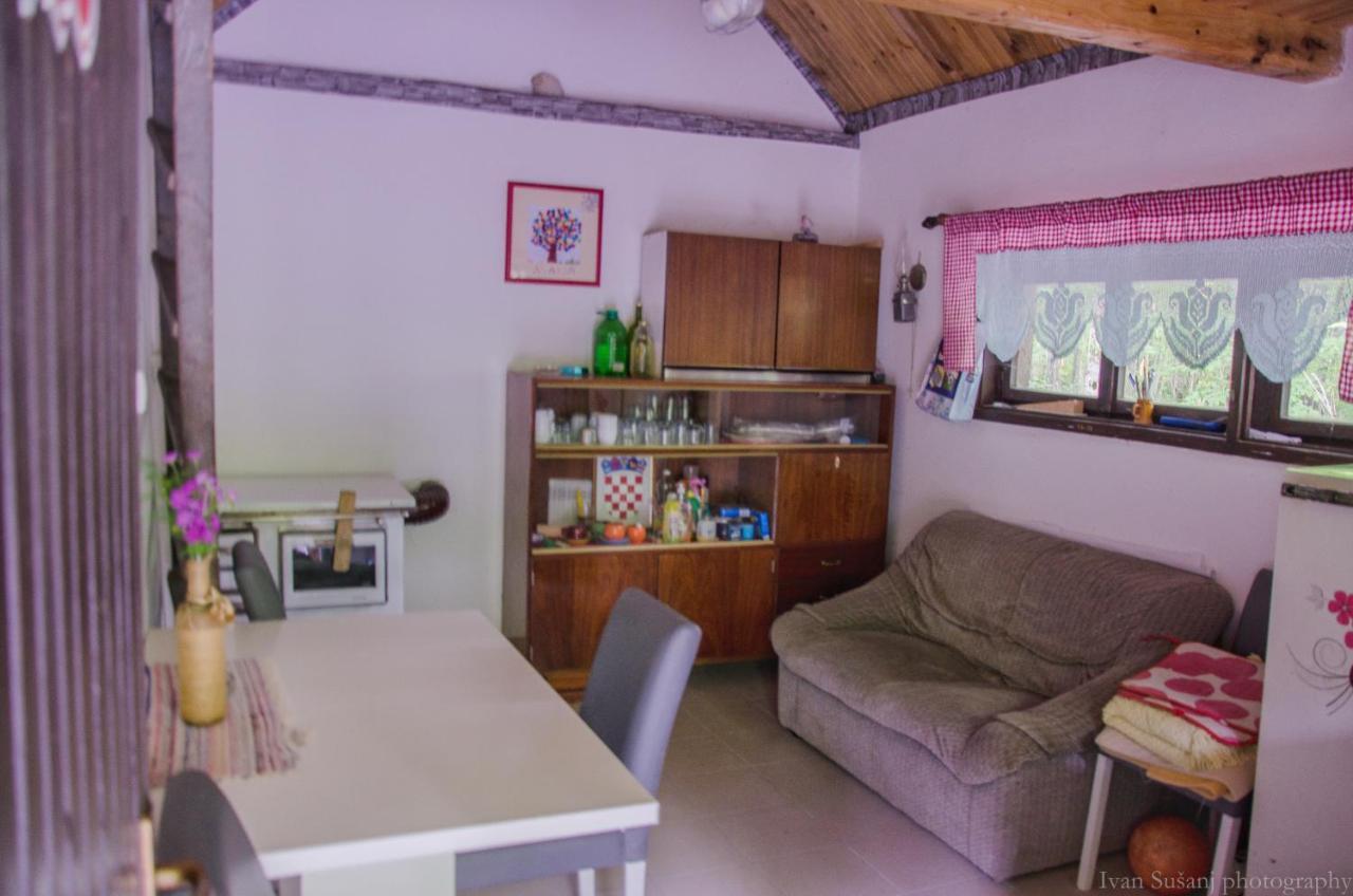 Apartment Rasce Ogulin Exterior foto